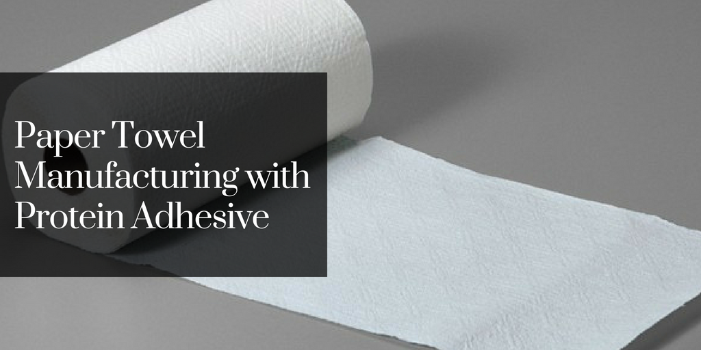 Paper Towel Manufacturing with Protein Adhesive
